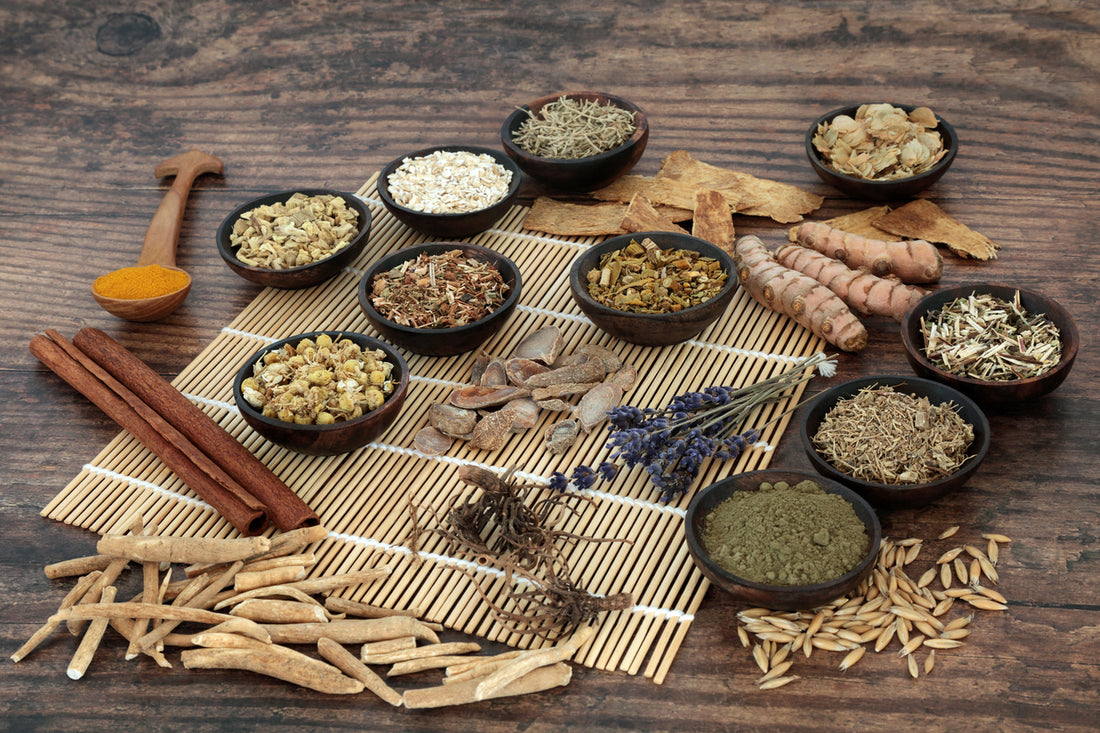 The Best Adaptogens to Support Your Immune System