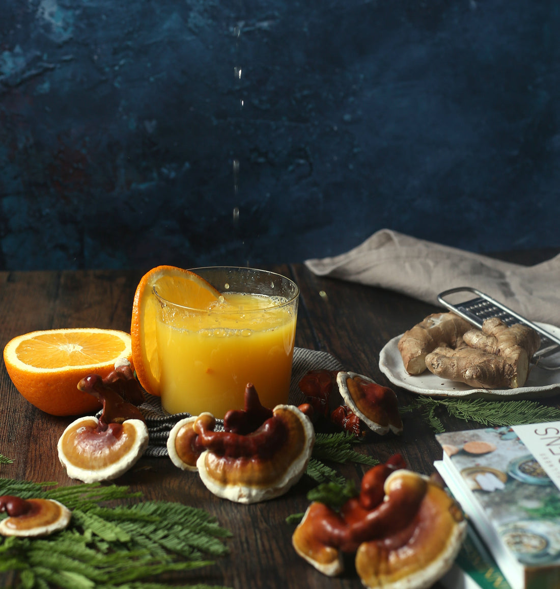 Best functional mushrooms guide