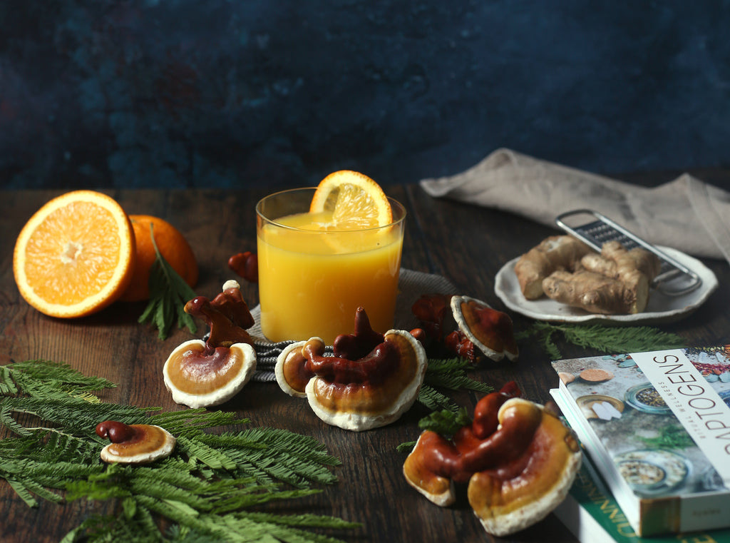 The Mushroom of Immortality: Reishi Mushroom Benefits