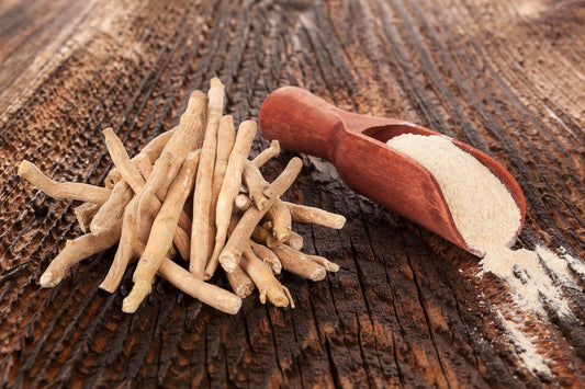Ashwagandha Benefits: The Stress Relieving Herb