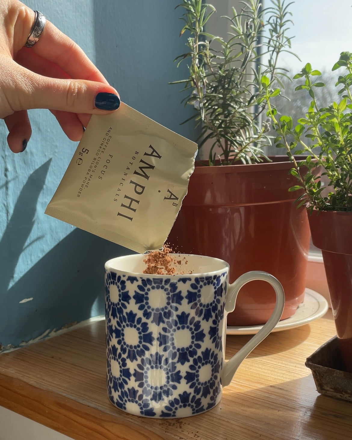 Mushroom coffee blend with ginkgo biloba benefits