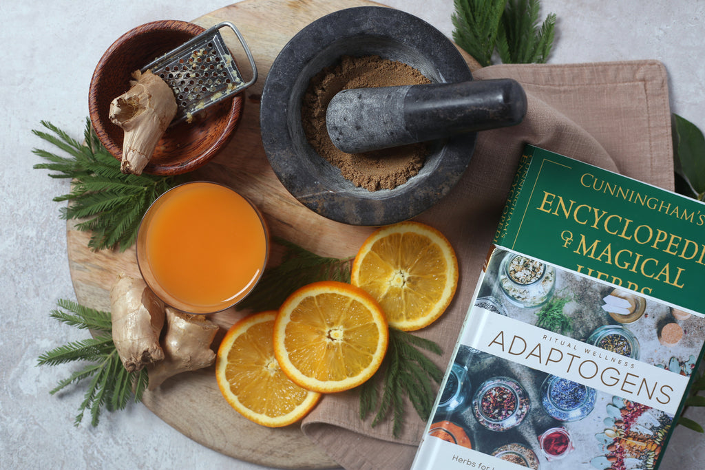 new year nervous system healthy habits